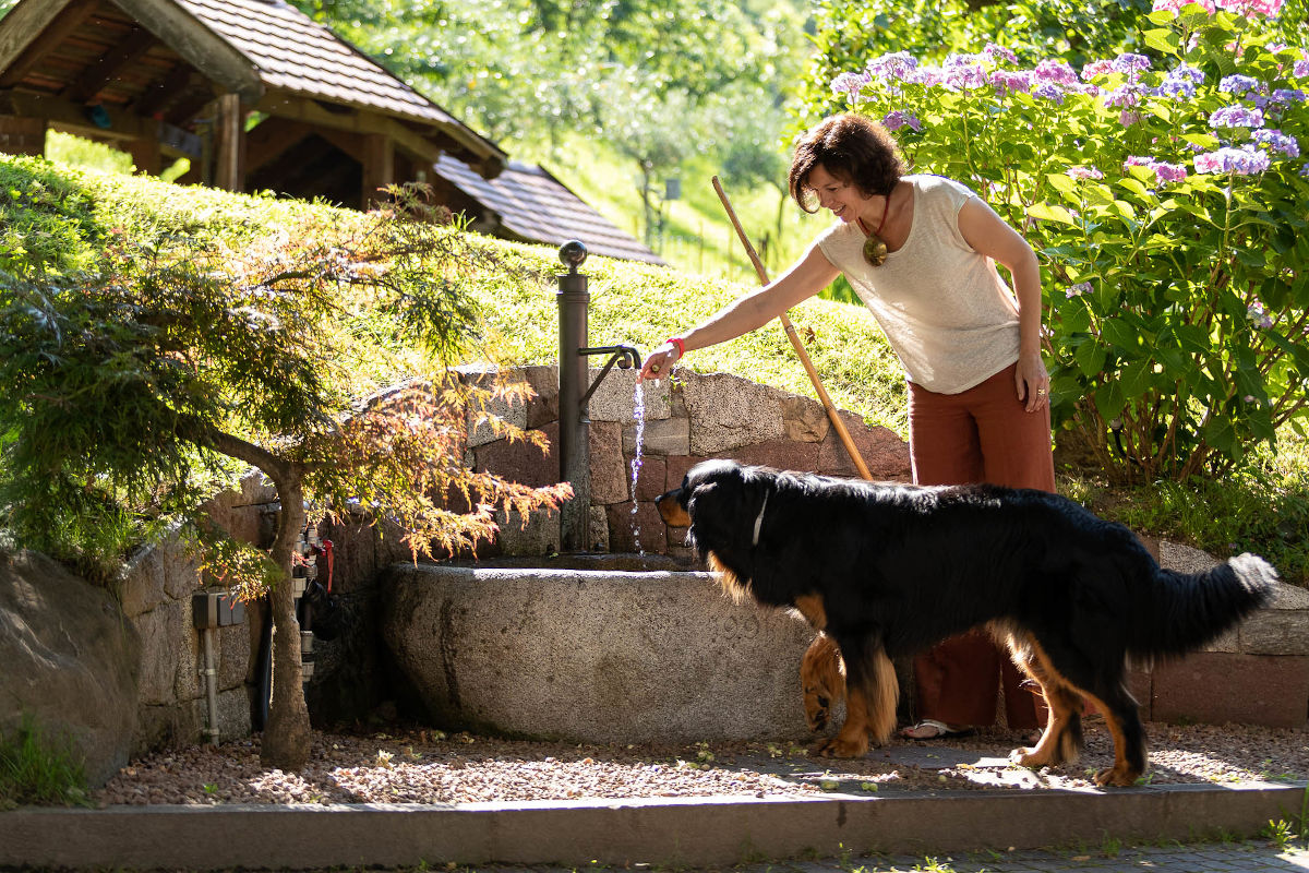 Hof- und Familienhund Lenny