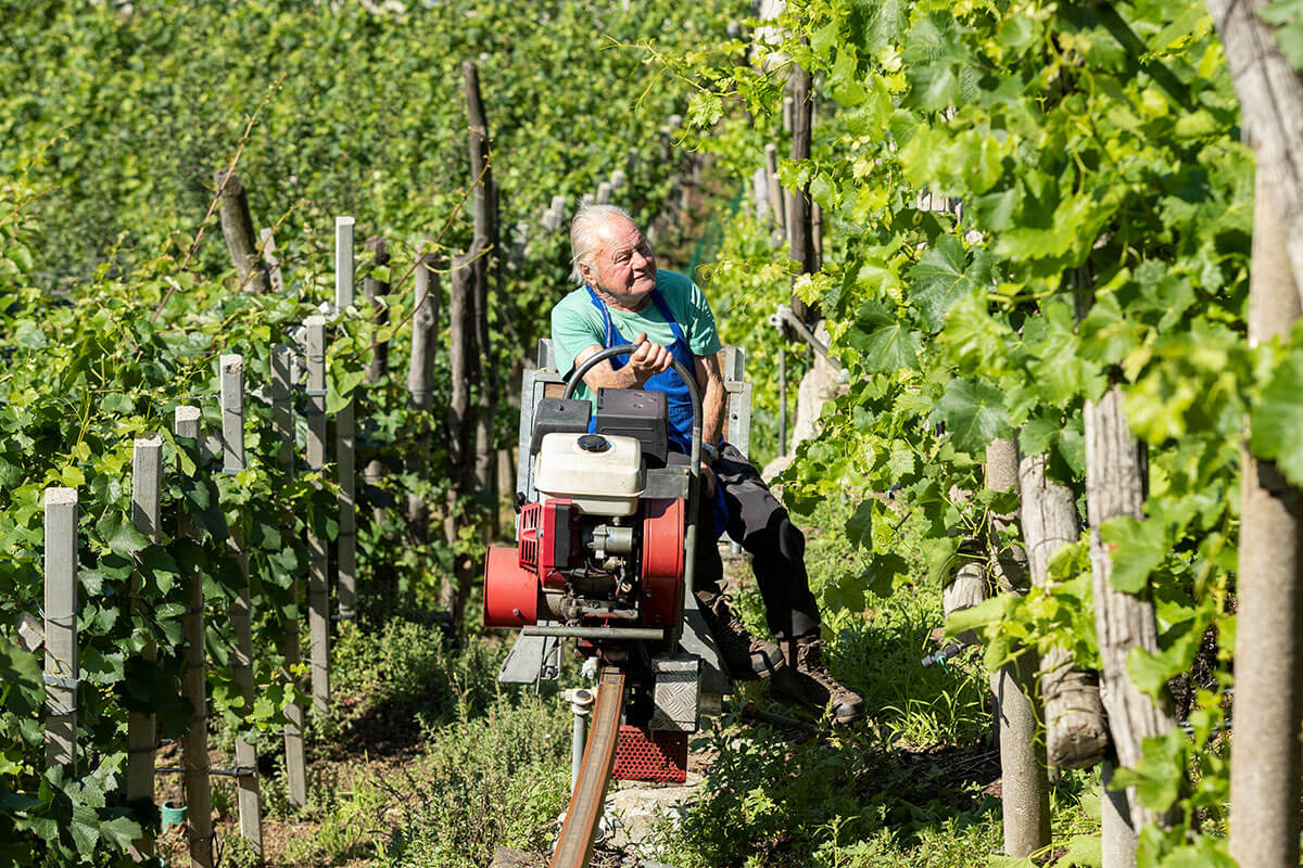 Herr Runggaldier Senior alias Opa