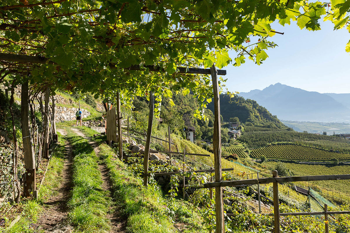 Il quartiere Quarazze e il sentiero delle rogge di Lagundo